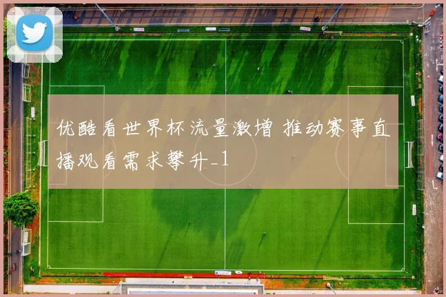 优酷看世界杯流量激增 推动赛事直播观看需求攀升_1