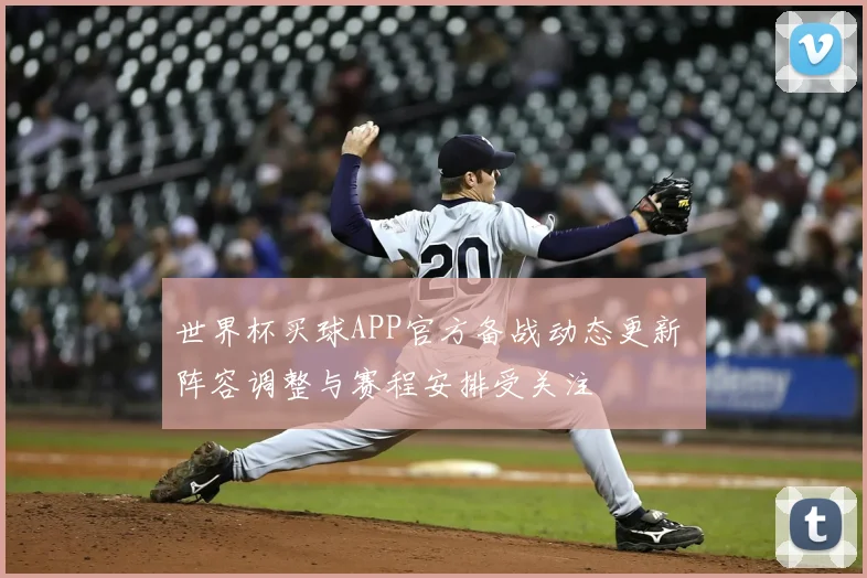 世界杯买球APP官方备战动态更新 阵容调整与赛程安排受关注