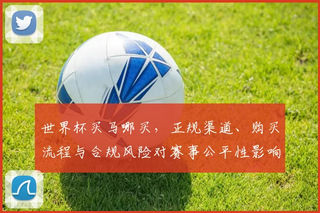 世界杯买马哪买，正规渠道、购买流程与合规风险对赛事公平性影响